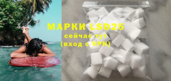 хмурый Алексин