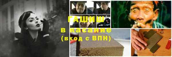 хмурый Алексин