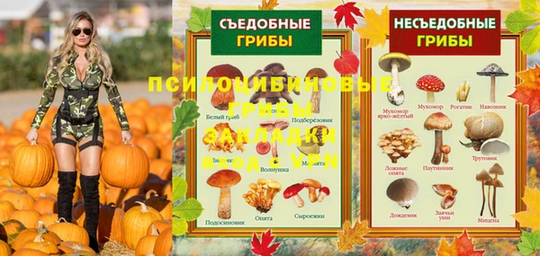 хмурый Алексин