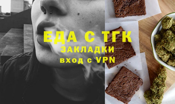 хмурый Алексин