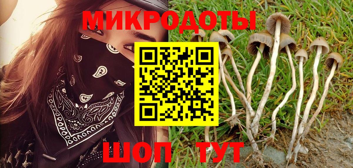 Галлюциногенные грибы Magic Shrooms  Галлюциногенные грибы прущие грибы  Вход с VPN  Пермь 